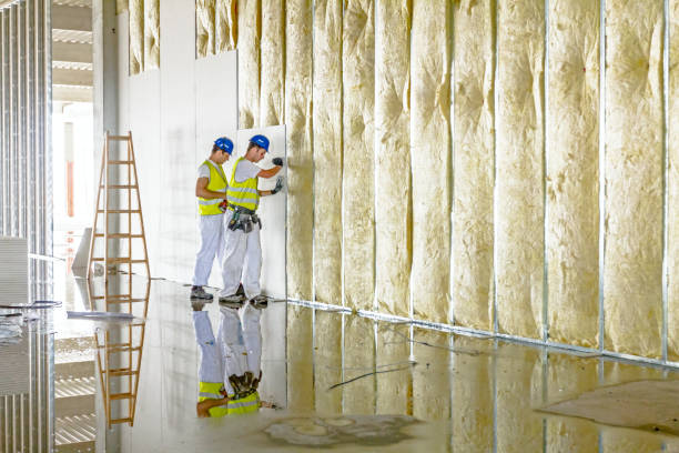 Best Eco-Friendly Insulation in Clarkston Heights Vineland, WA